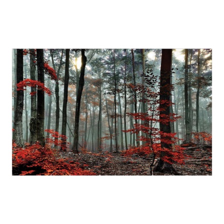 تابلو هوم دیزاین شاین 70*100 کد 48 