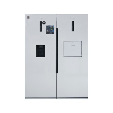 یخچال و فریزر دوقلو تاکنوگلد مدل S900-S901RF-W-TPLUS